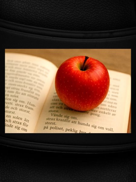 Beech and apple
