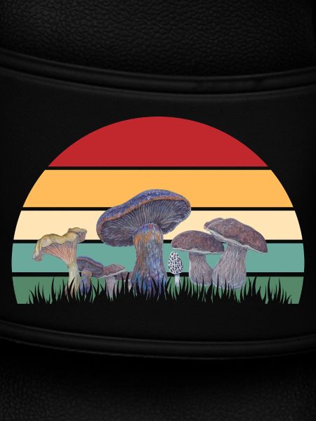 Mycological Sunset Pattern