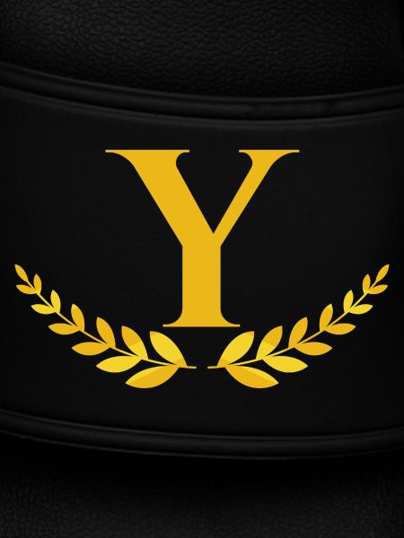 Y