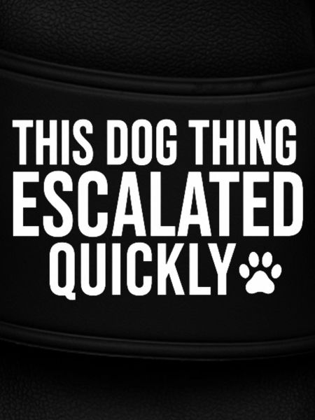 Diese Hundesache eskalierte schnell