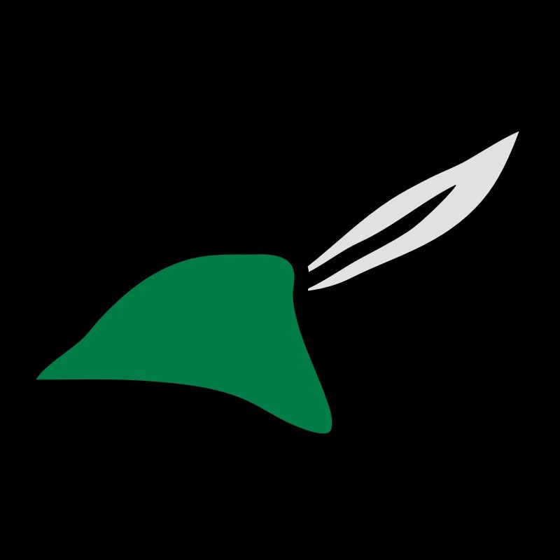 Robin Hood Hat