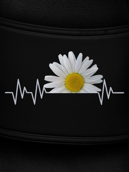 Margerite, Herzschlag, Gänseblümchen, Pulsschlag