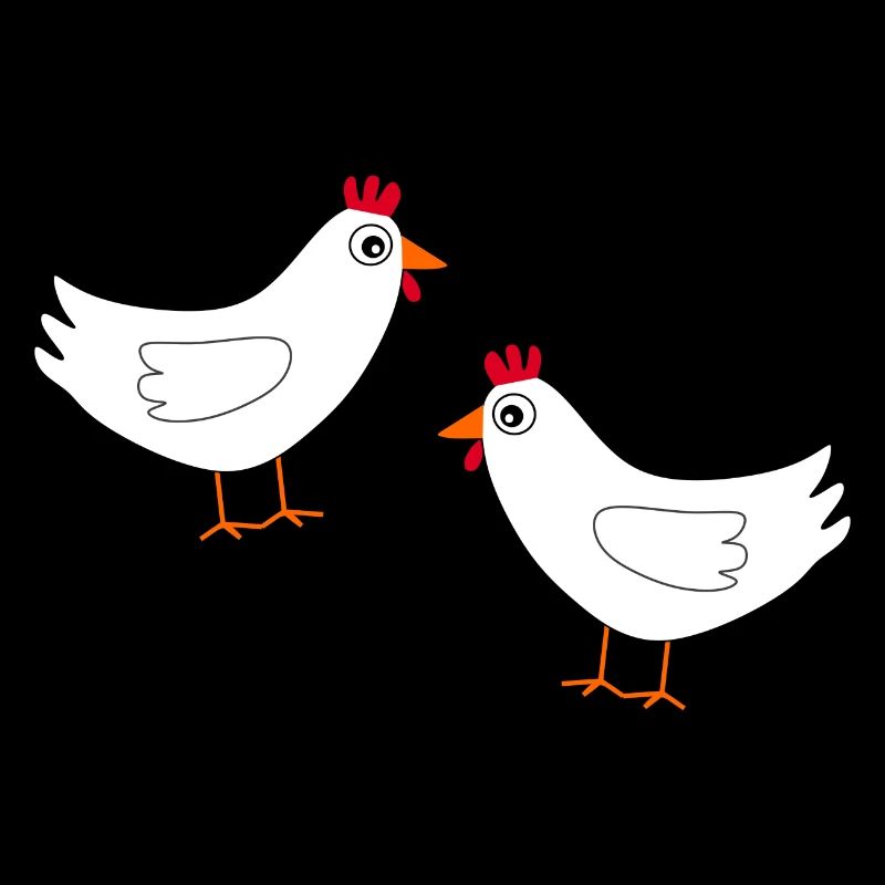 Poulet Blanc Poulets Blancs Poules Pâques