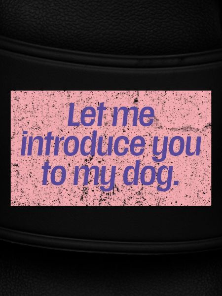 Dog First Impressions