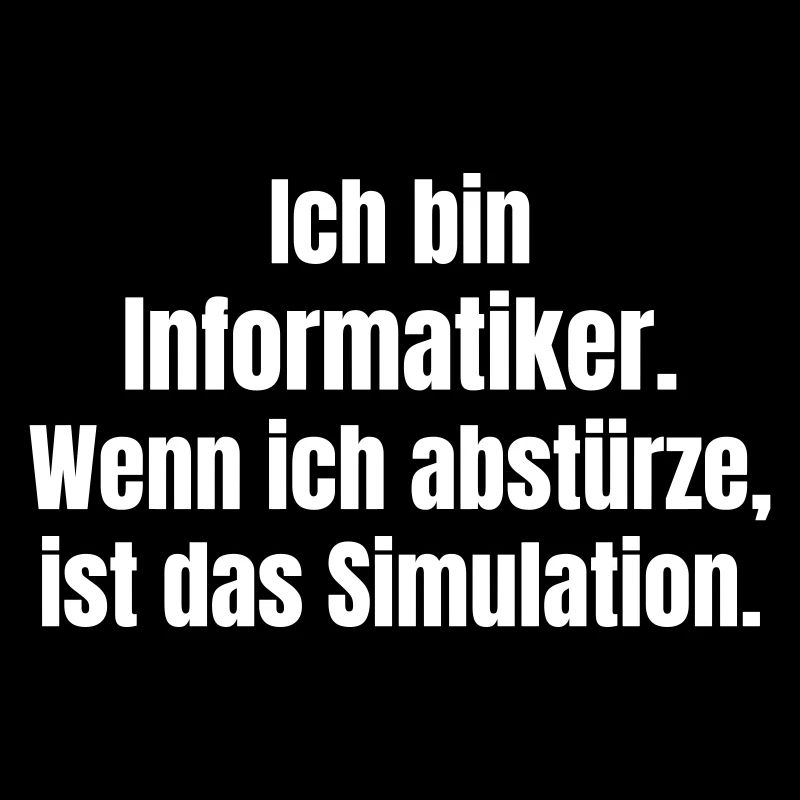 Ich bin Informatiker – Absturz als Simulation