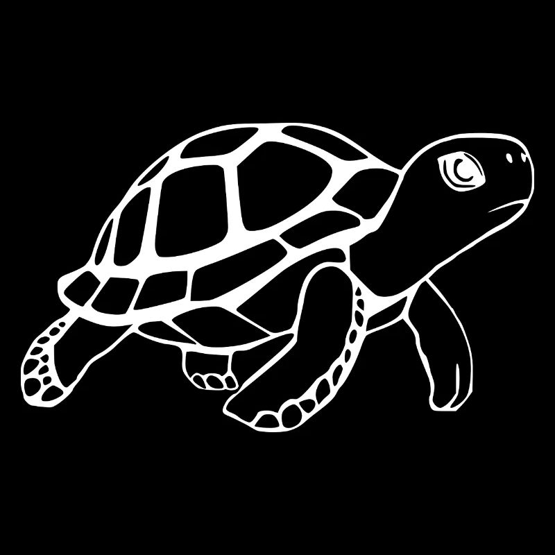 Turtle Turtles