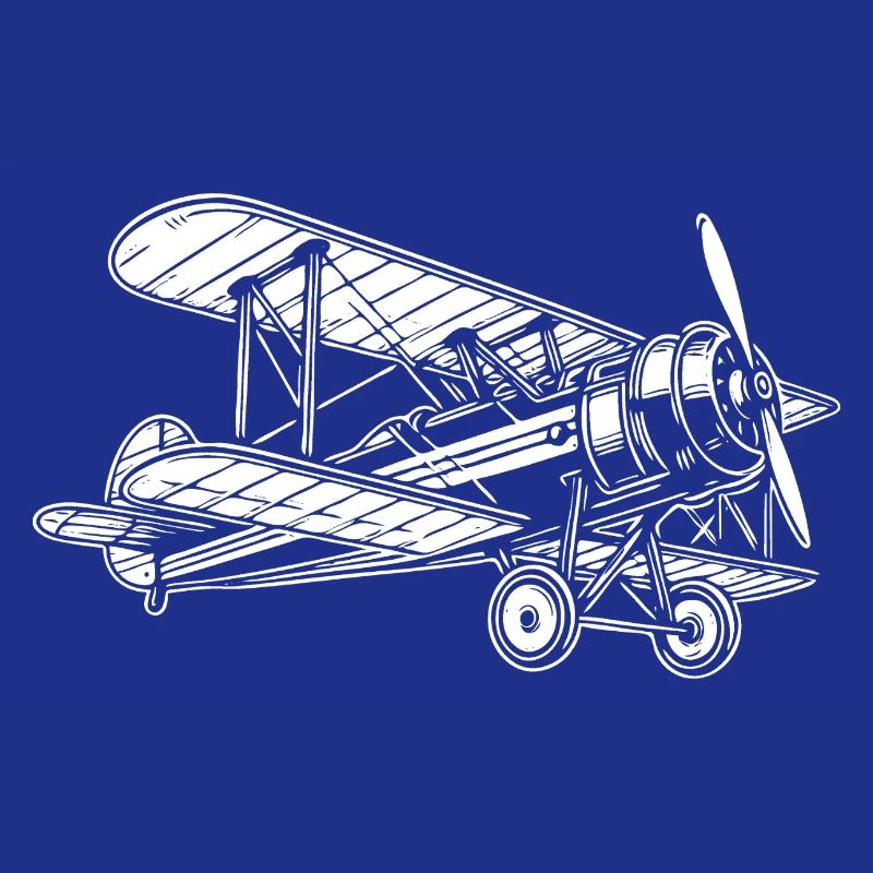 Biplane Oldtimer, conception classique d’avion