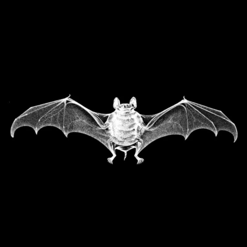 bat