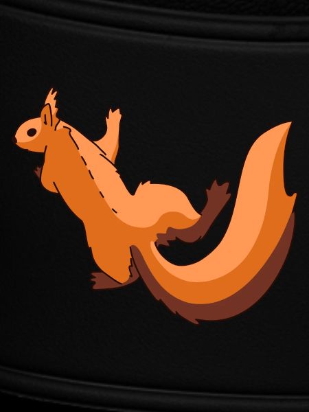 Squirrel