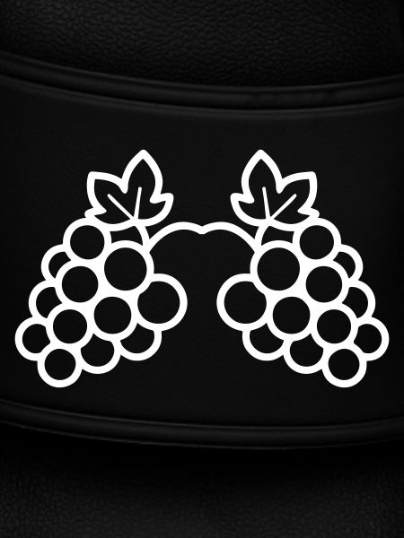 Grapes Grapevine Icon