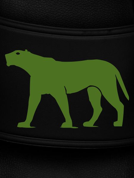 panther animal