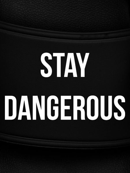 STAY D. | Greyline Official
