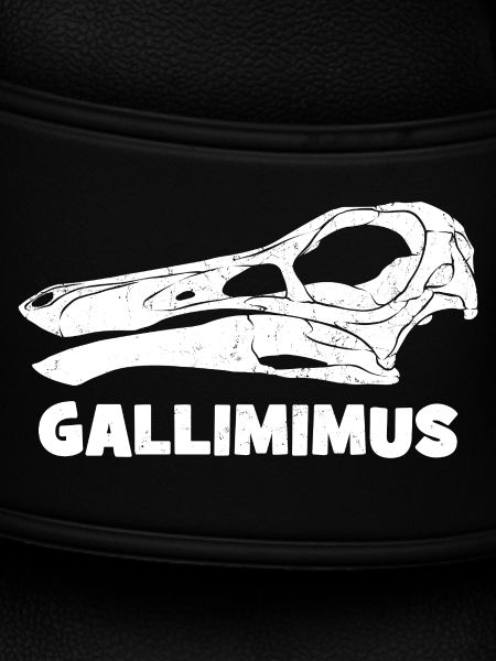Gallimimus Skull Fossil