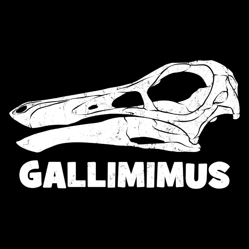 Fossile de crâne de Gallimimus