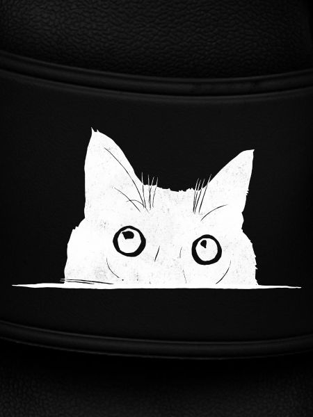 Peeping Cat