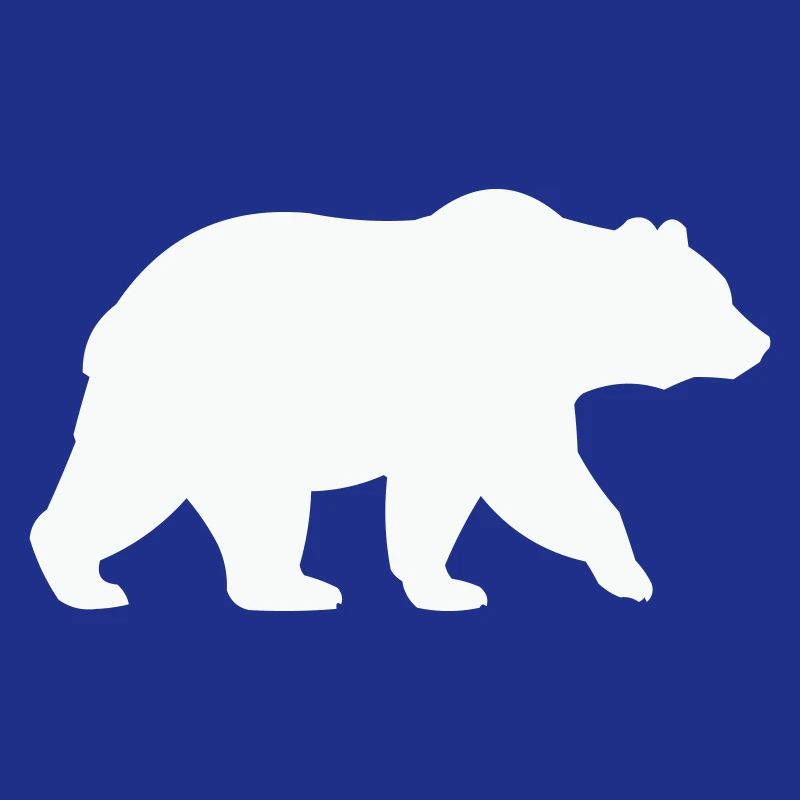 baer-
