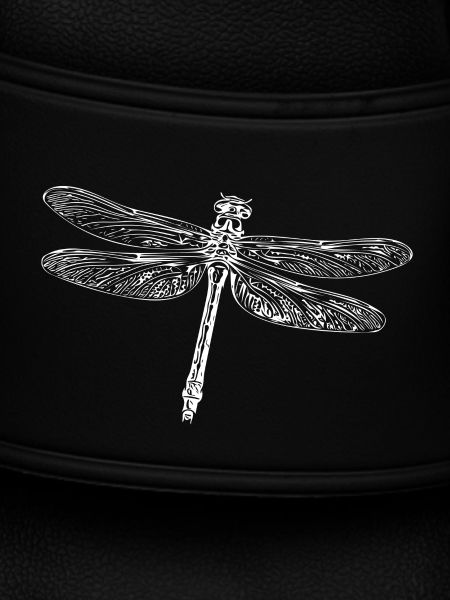 Flying dragonfly