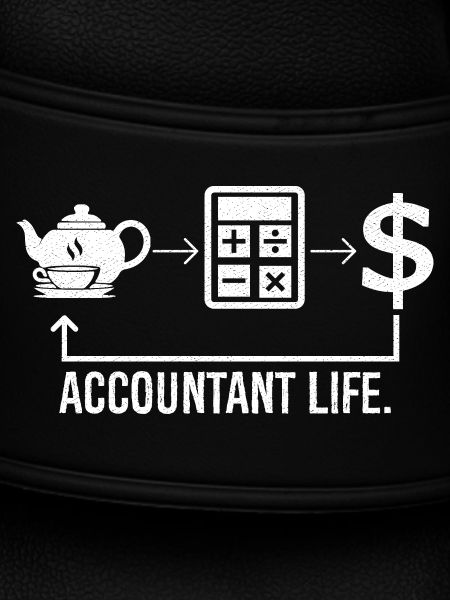 accountant life