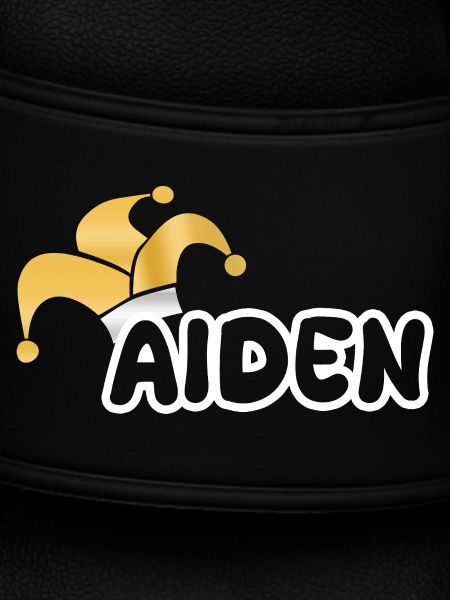 Carnival Aiden