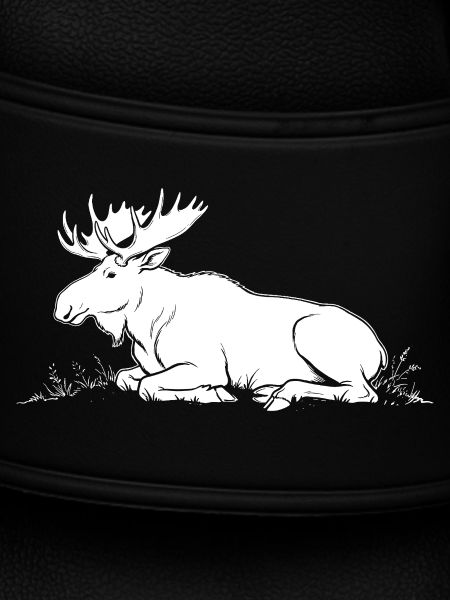 Elk