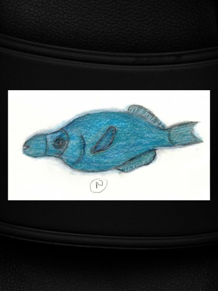 Vogellippfisch