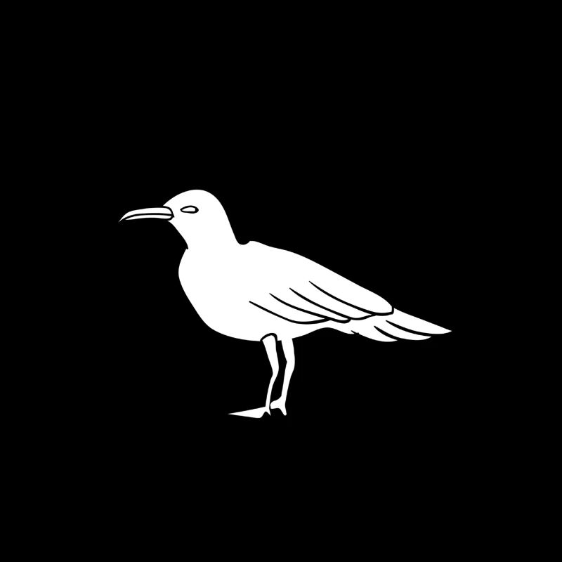 mouette