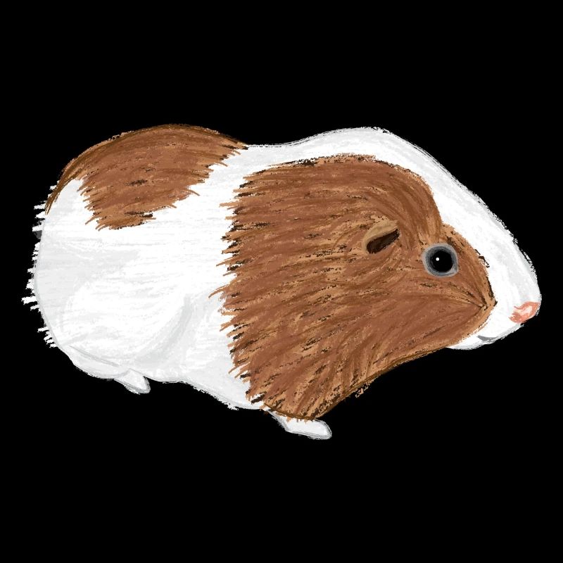 Design mit einem Glatthaar-Meerschweinchen 3