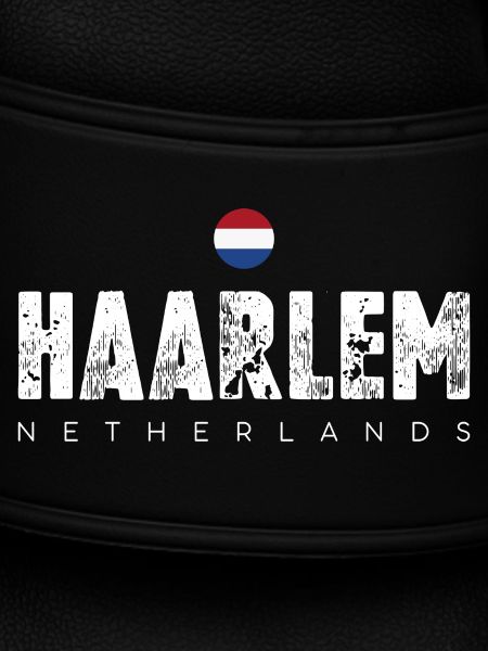 Haarlem Distressed Logo