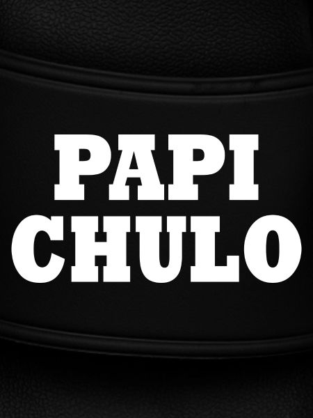 Papi chulo