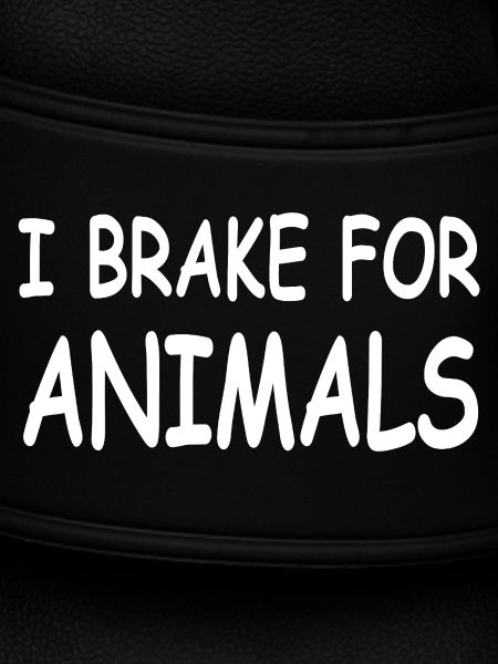 Animals