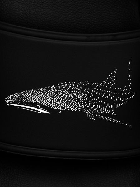 Whale shark