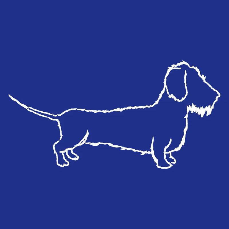 Teckel, teckel à poils durs, teckel, amour du chien