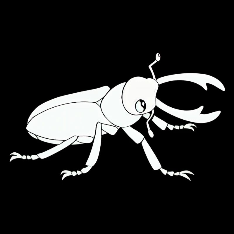 Insecte