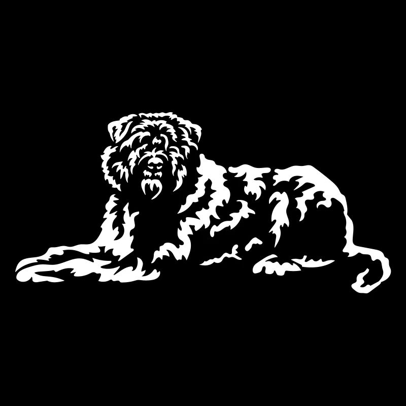 Bouvier de Flandre's "Black Edition"
