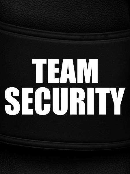 Team security
