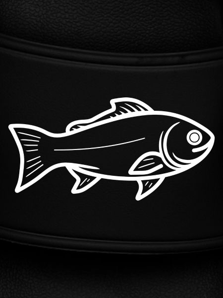 Fish Drawing