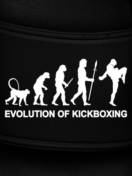 Development of kickboxing
