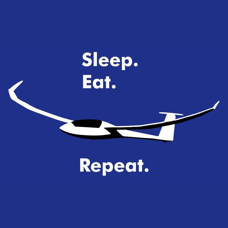 Glider glider flying glider pilot pilot