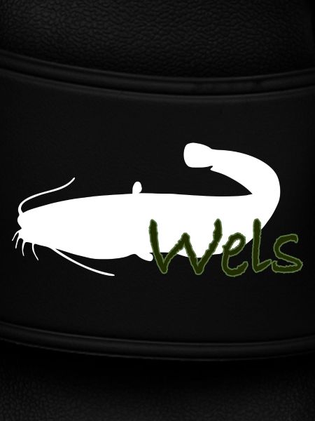 Wels