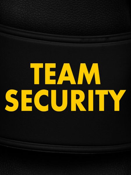 Team security