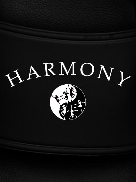 Dancing Ballet Harmony
