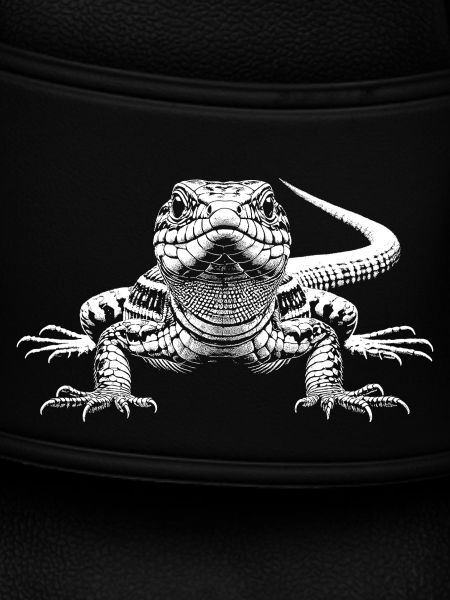 Lizard