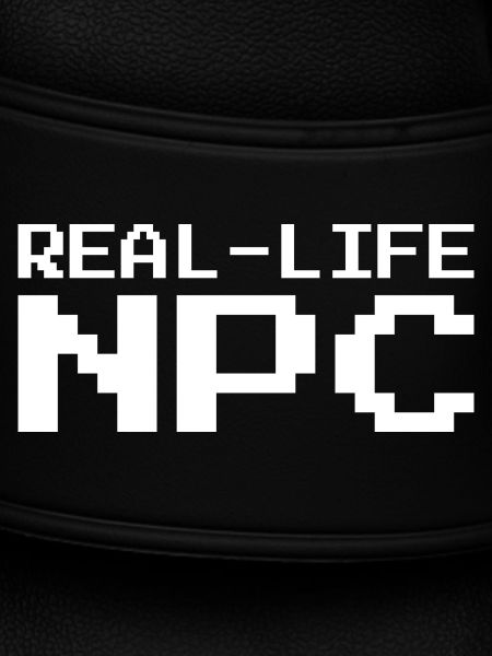 Real Life NPC Gaming