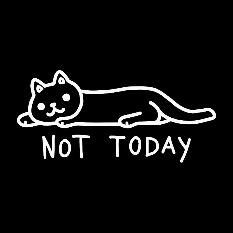 Cat Not Today I don't feel like it