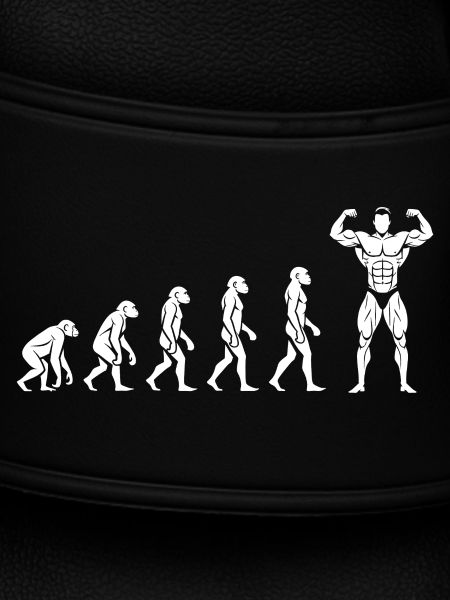 Evolution zur Kraft – Motivation pur