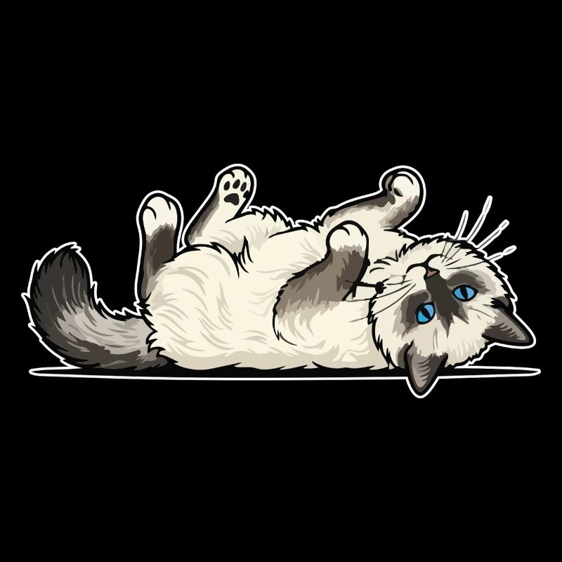 Grey Tabby Cat Marauding Hunter Portrait