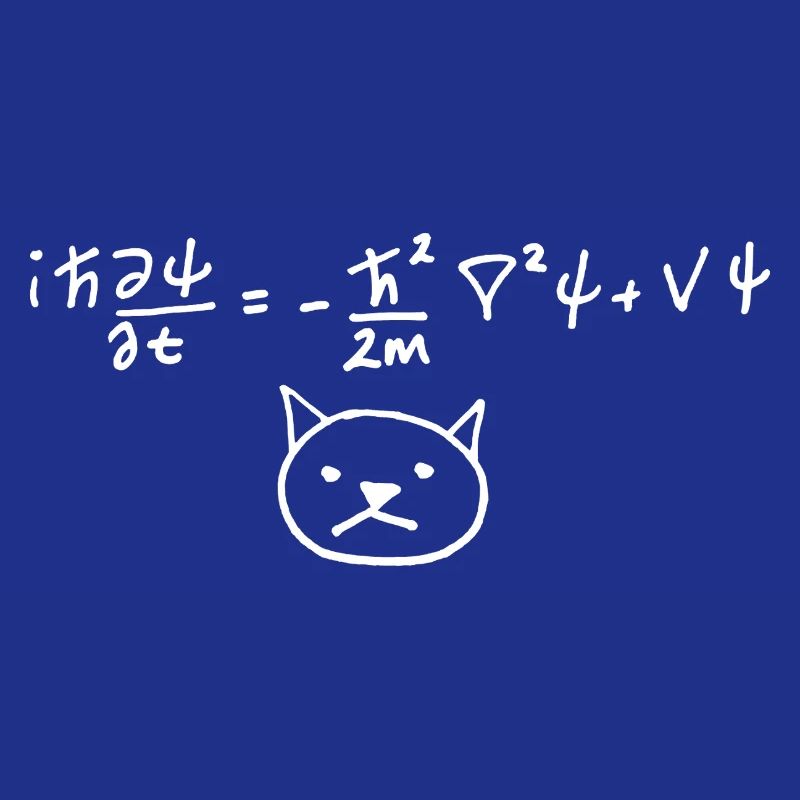 Physical Cat with Equation on White
