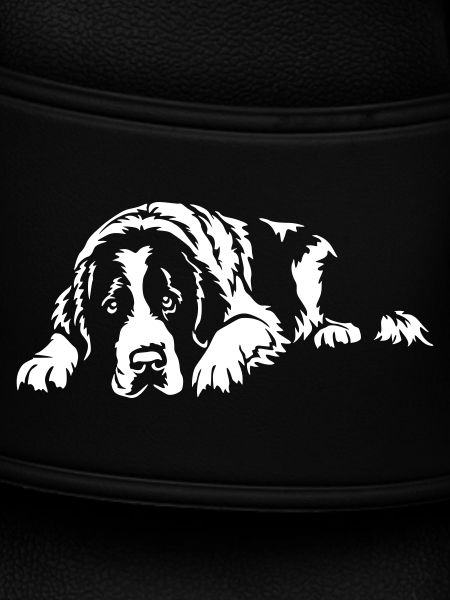 Landseer "Black Edition"