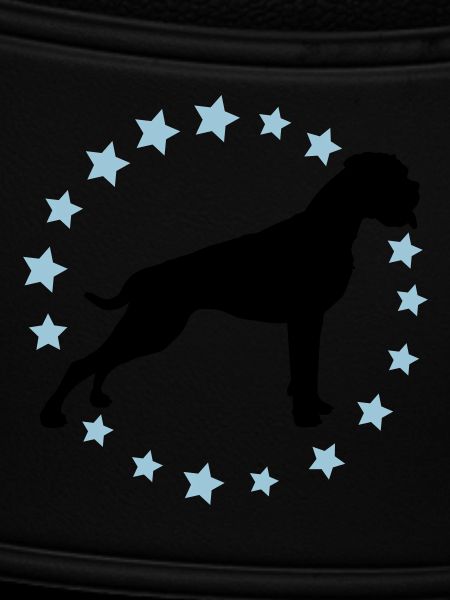 Boxer Sternenkreis 2 farb
