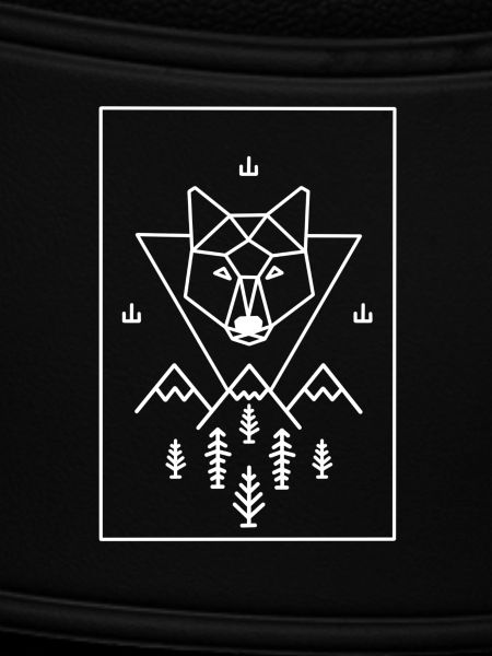 Fuchs Berge Natur Wald